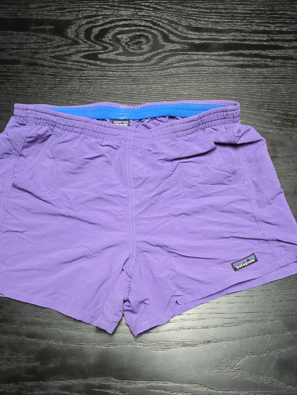 Patagonia Shorts